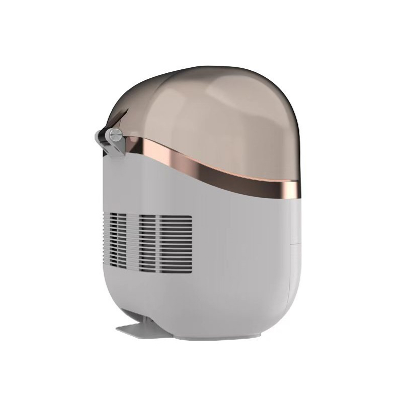 22L Portable Skincare Fridge - - Beauty Makeup Light 评论和价格